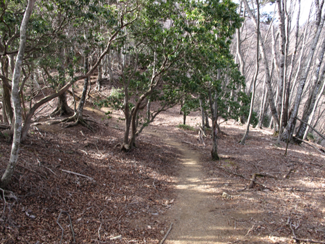 20190108hike (238)
